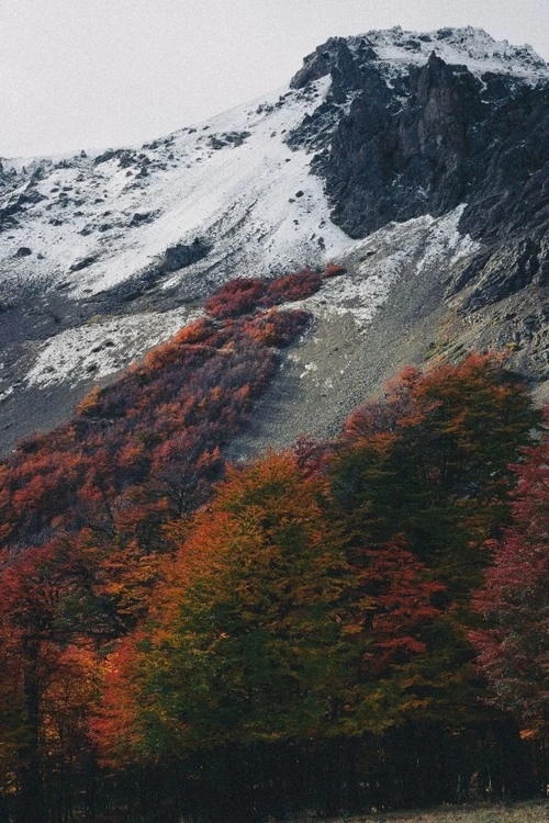 El Bosque Tallado - Desde Refugio de Montaña Cerro Piltriquitrón, Argentina