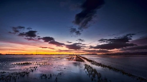 Albufera - From Carrer del Jesuset de l'Hort, Spain