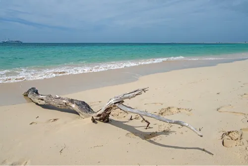 Pink Sand Beach - Antigua and Barbuda