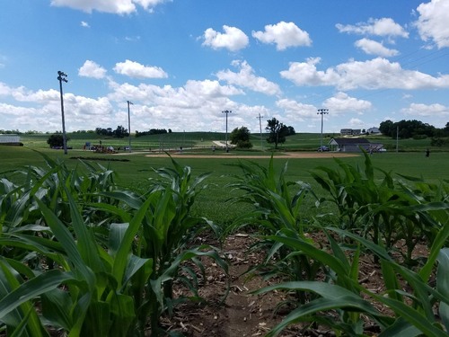 Field of Dreams Movie Site - United States