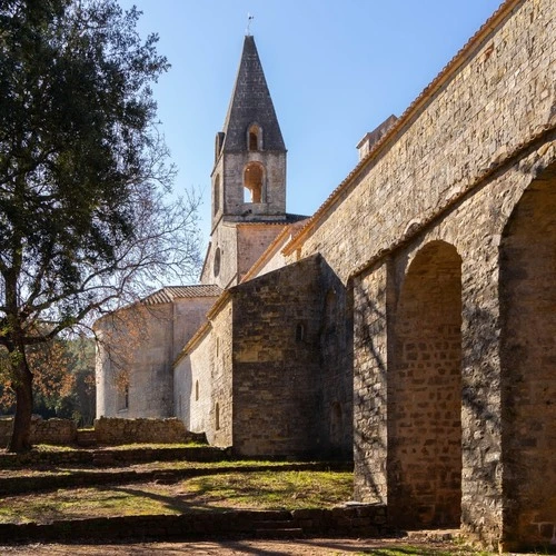 Abbaye du Thoronet - از جانب Inside, France