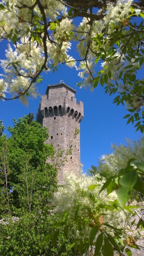 Terza torre - から Sentiero vicino alla terza torre, San Marino