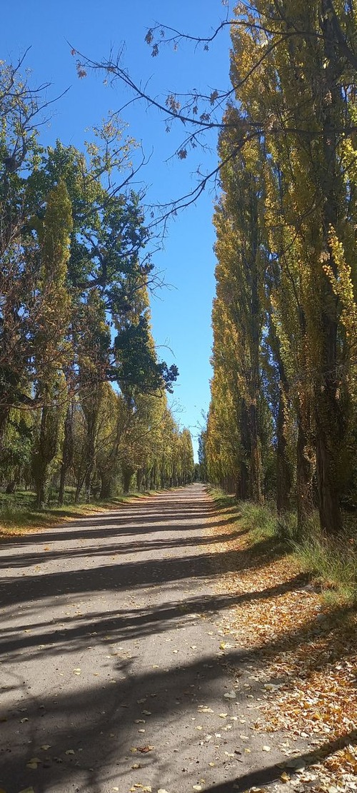 Camino de Alamos - から Villa 25 de Mayo, Argentina