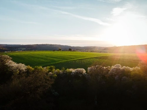 Meadows and blooming trees during spring sunset - Aus Aerial - Drone, Germany