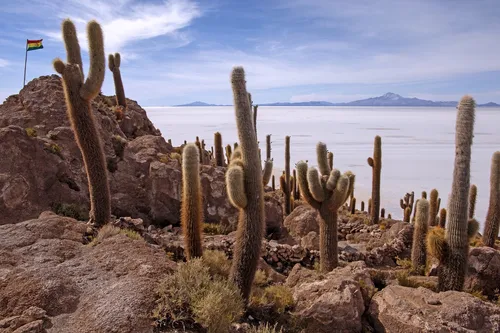 Isla Incahuasi - Depuis Internal Path, Bolivia