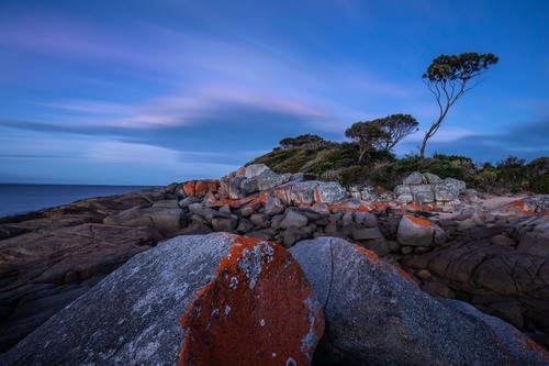 Bay of fires - 从 Skeleton Bay Reserve, Australia