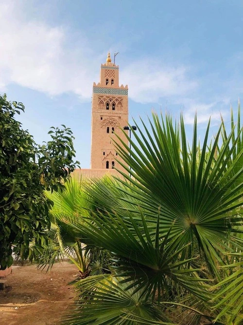 Mosquée - la Koutoubia - Från Koutoubia Park, Morocco