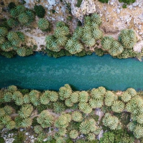 Preveli Palm Forest - Aus Drone, Greece