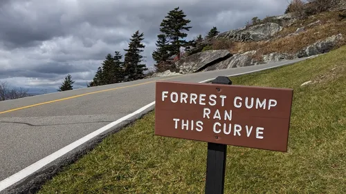 Forrest Gump Curve - United States