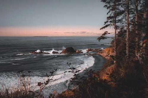 Ruby Beach - از جانب Road, United States