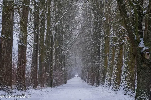 Dreef Path - Belgium