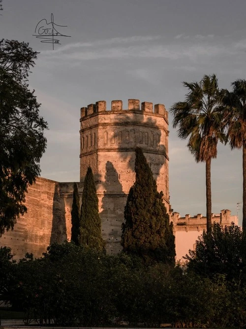 Alcázar de Jerez de la Frontera - From Calle Pierto, Spain