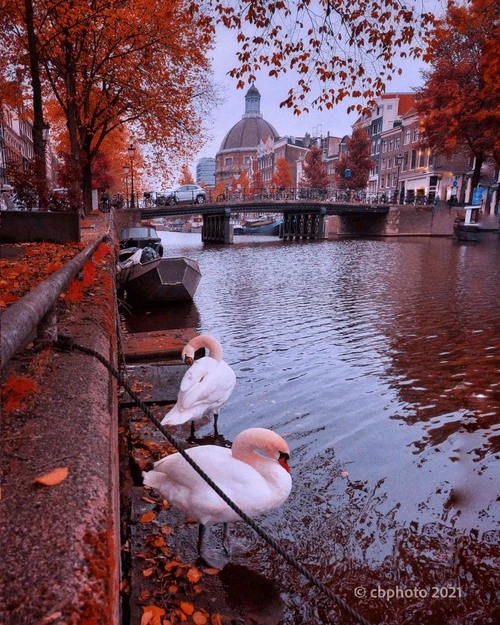 Lijnbaansbrug - Brug 10 - از جانب Singel, Netherlands