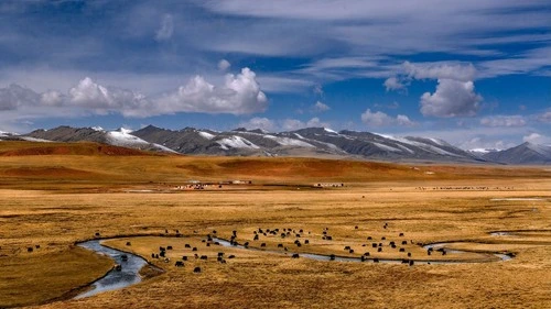 Junyongtang - Aus 308 Road, China