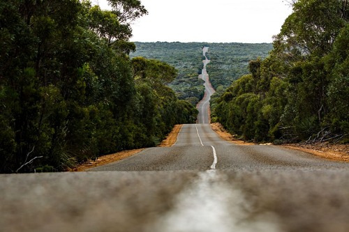 Cape Du Couedic Road - から Flinder Chase National Park / Kangaroos Island, Australia