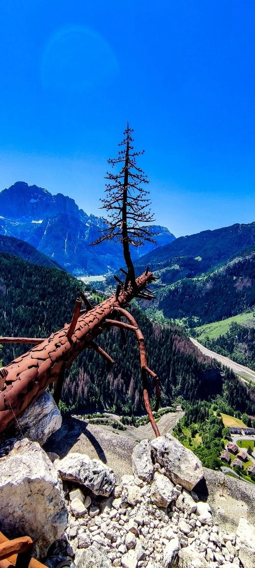 Monte Civetta, Lago di Alleghe - From Belvedere - Memorial tree by Valentino Moro, Italy