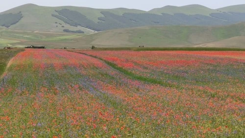 Colle di Castelluccio - 从 Road, Italy