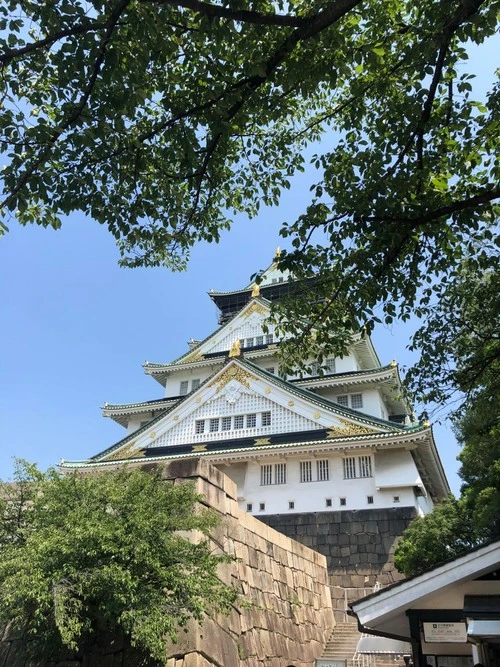 Osaka Castle - Desde Castle Park, Japan