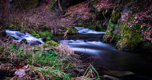 Wilde Weißeritz - Desde Ufer, Germany