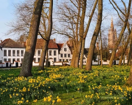 Begijnhof - Belgium