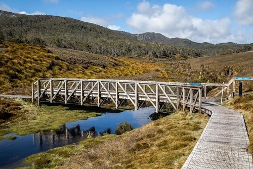 Wooden Bridge over Ronny Creek - 从 Boardwalk / Overland Track, Australia