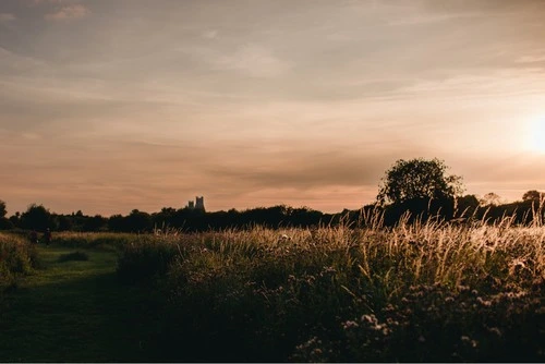 Roswell Pits Nature Reserve - United Kingdom