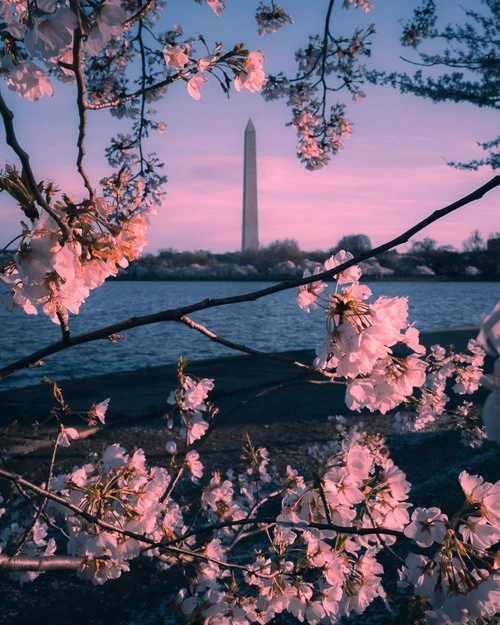 Washington Monument - Aus Jefferson Memorial, United States