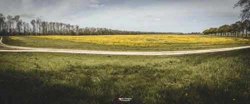 Schokkerbos - 从 Fields, Netherlands