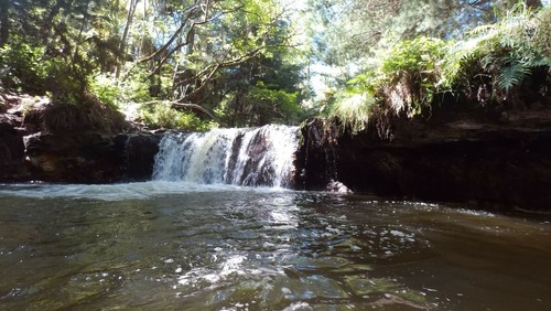 Kerosene Creek - New Zealand