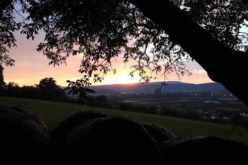 Gau-Algesheim - От Schieferberg, Germany
