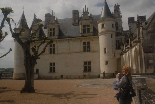 Château Royal d'Amboise - From East Gardens, France