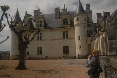 Château Royal d'Amboise - Van East Gardens, France