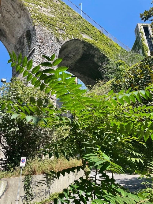 Ponte di Carignano - Da Via Casaccie, Italy