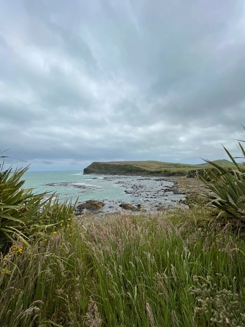 Curio Bay - From Camping Ground, New Zealand