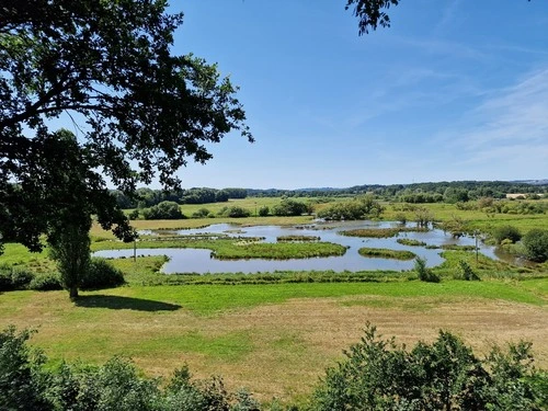 Biotop Beeden - İtibaren Aussichtspunkt, Germany