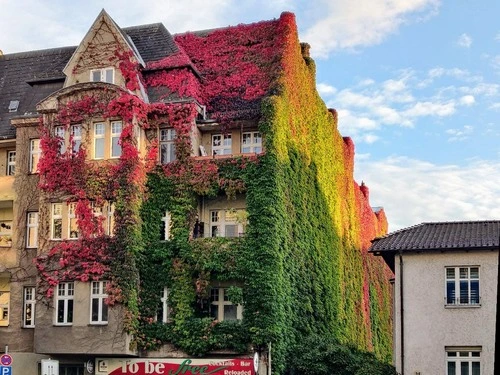 Efeu-Haus - Desde Brunsbütteler Damm, Germany