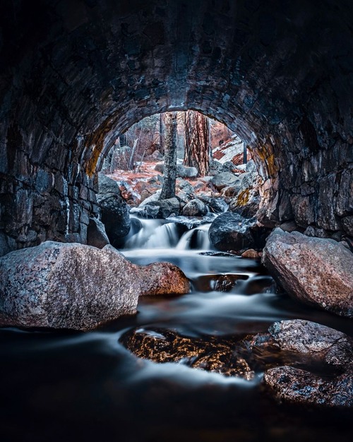 Pony Express Bride - От From under the bridge, United States