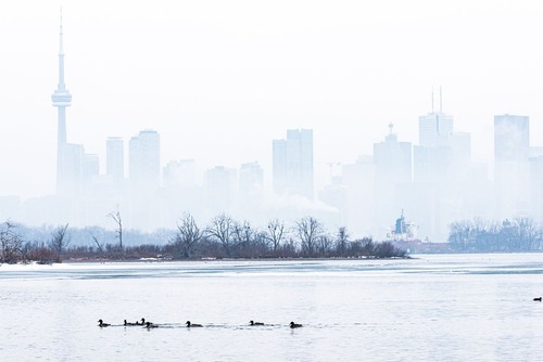 Toronto - 从 Tommy Thompson Park Floating Bridge, Canada