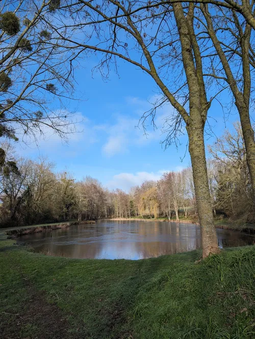 Ruisseau des Papinais - France