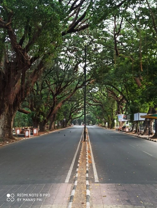 Dayanand Bandodkar Marg - Aus Prince Henry The Navigator Memorial Park, India