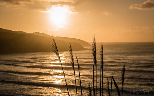 Ngarunui Beach Lookout - New Zealand