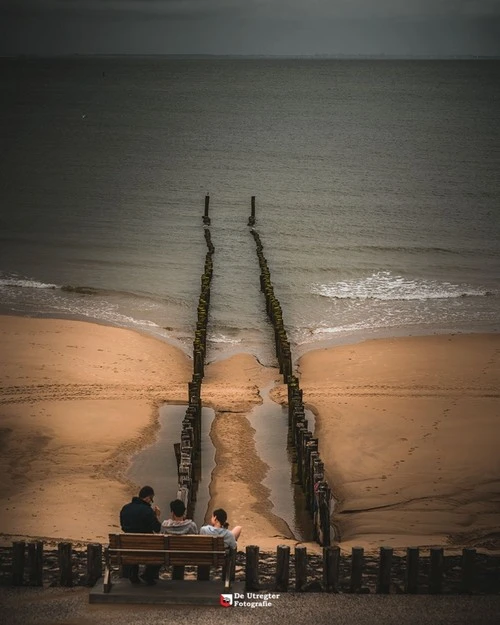 Palen op het Strand - From Zoutelande, Netherlands