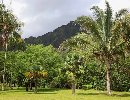 Ho'omaluhia Botanical Garden - United States