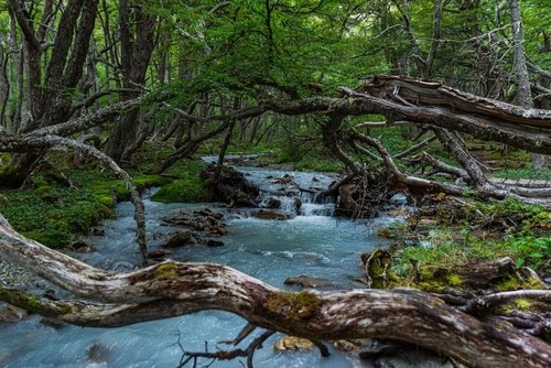 Rio a Laguna Esmeralda - Argentina