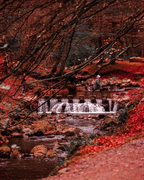 Tollymore Stepping Stones - Z Spelga River Path, United Kingdom