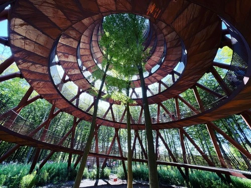 Treetop Experience - Denmark