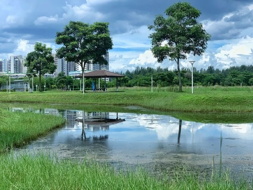 Lorong Halus Wetlands - From South Side, Singapore