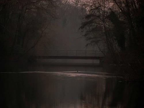 Bridge - Aus Avenue des Routoires, France