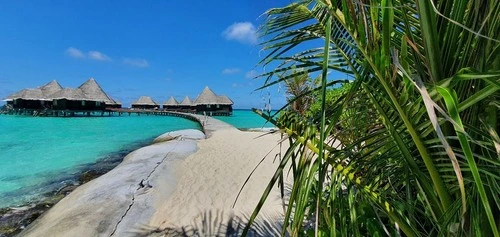 Coco Palm Dhuni Kolhu - Maldives