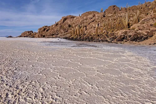 Isla Incahuasi - Bolivia